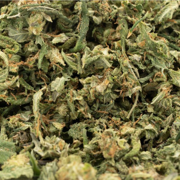 Alternative view of Hybrid AAA Cannabis Shake (28g Special)