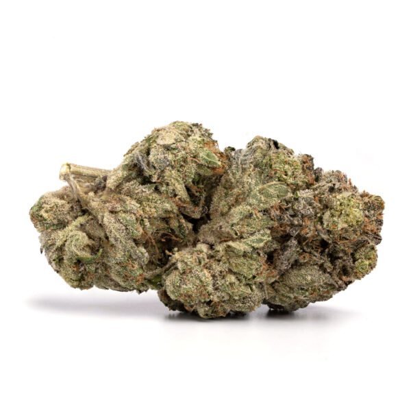 Alternative view of Bubble Gum