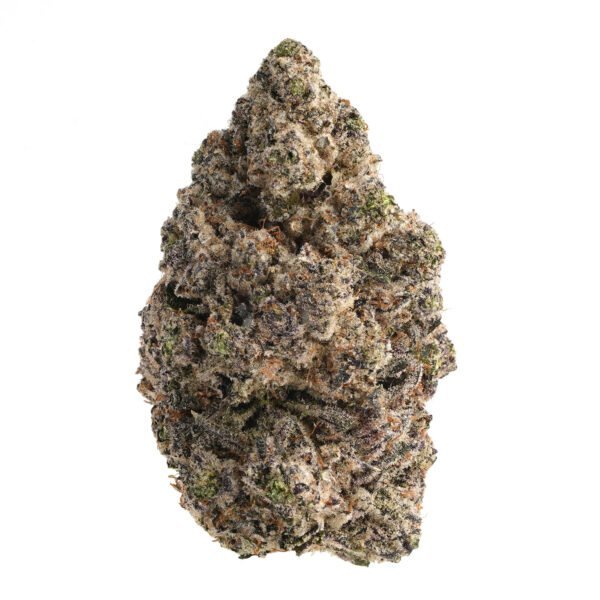Mint Chocolate Chip