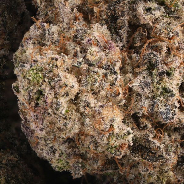 Mint Chocolate Chip - Image 3